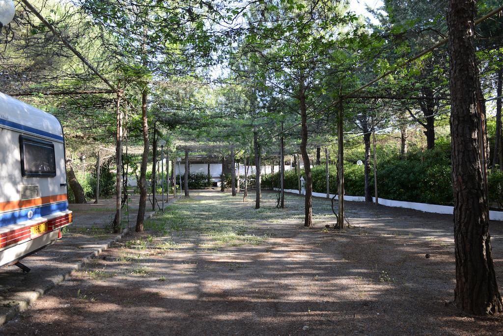 Villaggio La Pantera Rosa スカレア エクステリア 写真