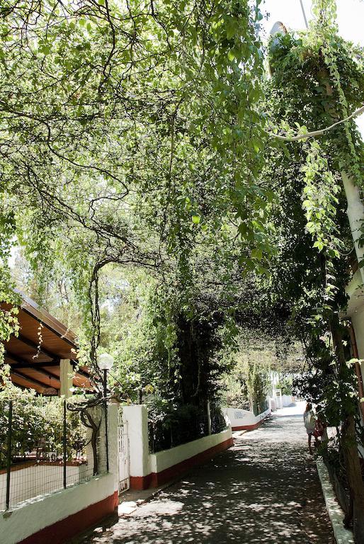 Villaggio La Pantera Rosa スカレア エクステリア 写真